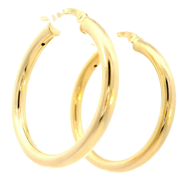 Earring Chipper's Jewelry Bonney Lake, WA