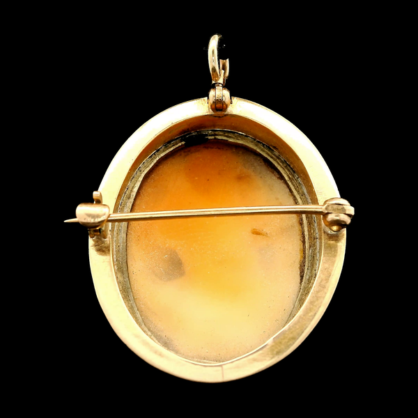 14K Yellow Shell Cameo Brooch/Pendant Image 2 Chipper's Jewelry Bonney Lake, WA