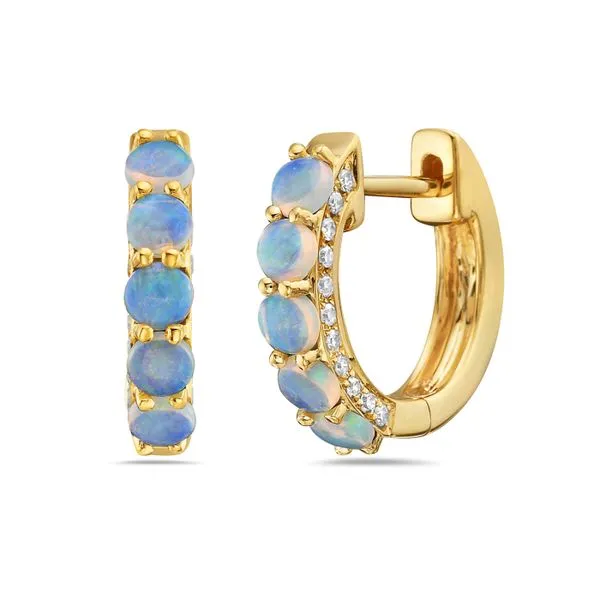 Earrings Clark & Linford Cedar City, UT