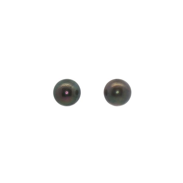 9mm Black Pearl Stud Earrings in 14k White Gold Clark's Diamond Jewelers Coeur d'Alene, ID