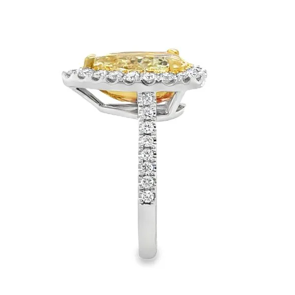 18K White Gold GIA Yellow Pear Shaped Diamond Halo Engagement Ring Image 5 Classic Creations In Diamonds & Gold Venice, FL