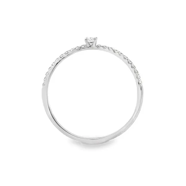 14KW Micro Pave' Diamond Band With A Single Diamond Ring Image 2 Classic Creations In Diamonds & Gold Venice, FL