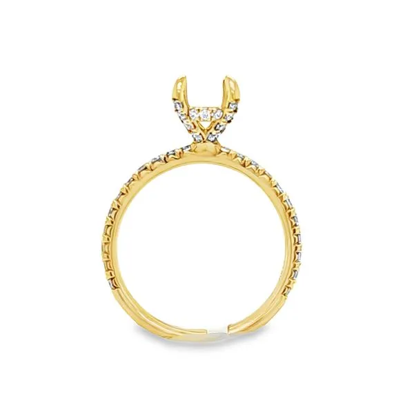 18K Yellow Gold Micro Pavé Shank Engagement Ring Semi-Mount – Oval Halo, .68 CTW, Size 6 Image 2 Classic Creations In Diamonds & Gold Venice, FL