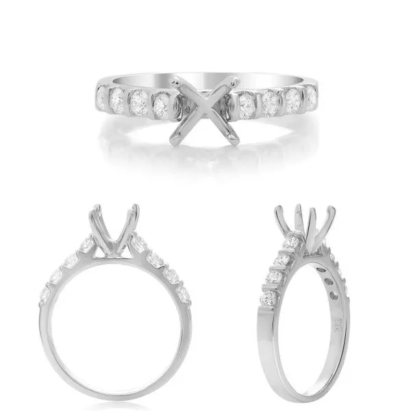 Roman + Jules Channel Set Cathedral Engagement Ring Setting Classic Creations In Diamonds & Gold Venice, FL