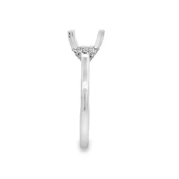 14KW Polished Cathedral Shank Side Halo Cushion or Round Stone Image 3 Classic Creations In Diamonds & Gold Venice, FL