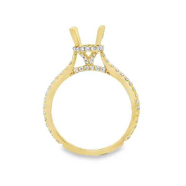 14KY Oval Fishtail Set Cathedral Side Halo & Basket Semi Mount Image 2 Classic Creations In Diamonds & Gold Venice, FL
