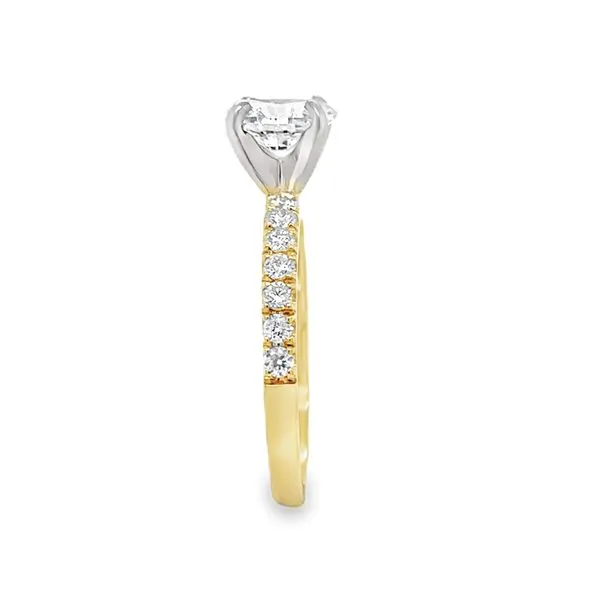 1.0ct. Oval Diamond Engagement Ring Image 3 Classic Creations In Diamonds & Gold Venice, FL