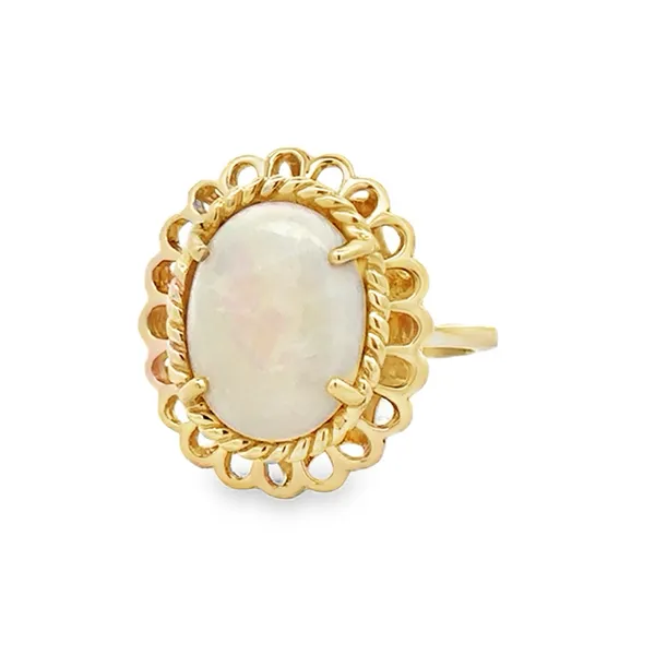 14K Yellow Gold Oval Australian Opal Knot Setting Ring Classic Creations In Diamonds & Gold Venice, FL