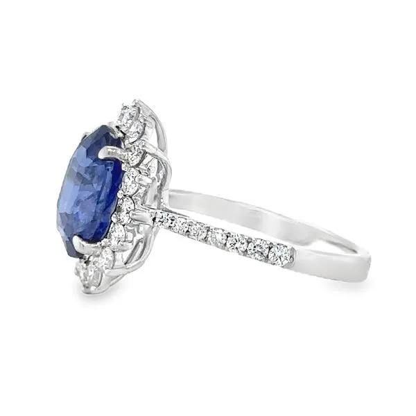 18K White Gold GIA Oval 4.0ct. Sapphire And Diamond Halo Ring Image 2 Classic Creations In Diamonds & Gold Venice, FL