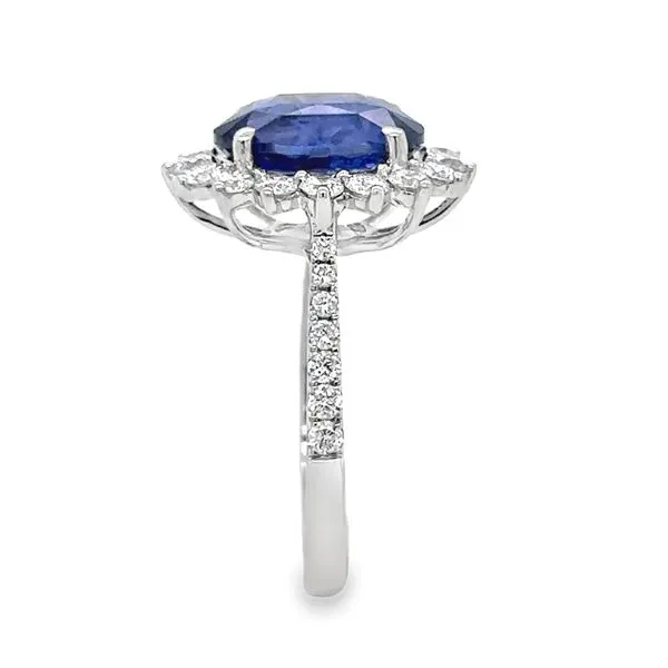 18K White Gold GIA Oval 4.0ct. Sapphire And Diamond Halo Ring Image 4 Classic Creations In Diamonds & Gold Venice, FL