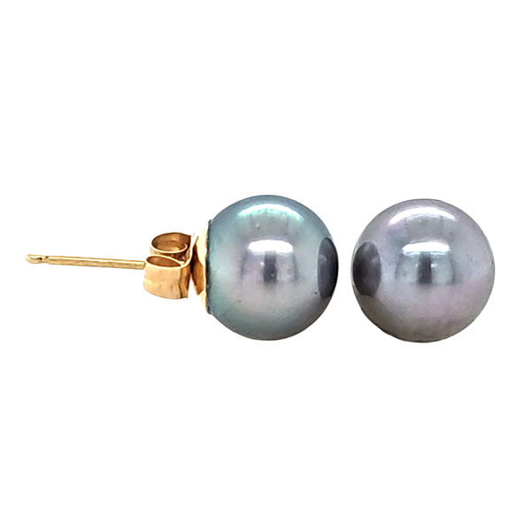 14K Yellow Gold Tahitian Gray Pearl Stud Earrings 8.0mm AA Quality Classic Creations In Diamonds & Gold Venice, FL