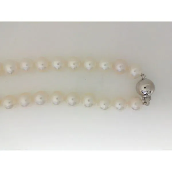 Strand Classic Creations In Diamonds & Gold Venice, FL