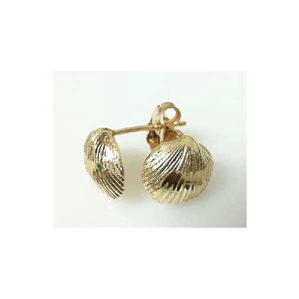 14K Yellow Gold Sea Shell Earrings Classic Creations In Diamonds & Gold Venice, FL