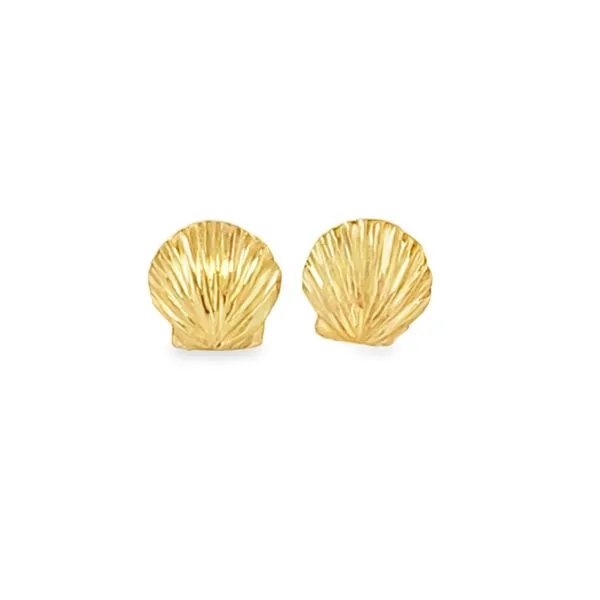 14K Yellow Gold Seashell Stud Earrings – 6.3mm, 0.6 DWT | Polished Nautical Gold Studs Classic Creations In Diamonds & Gold Venice, FL