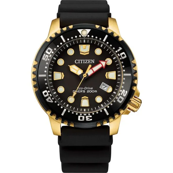 Men's Citizen Promaster Dive Watch Classic Creations In Diamonds & Gold Venice, FL