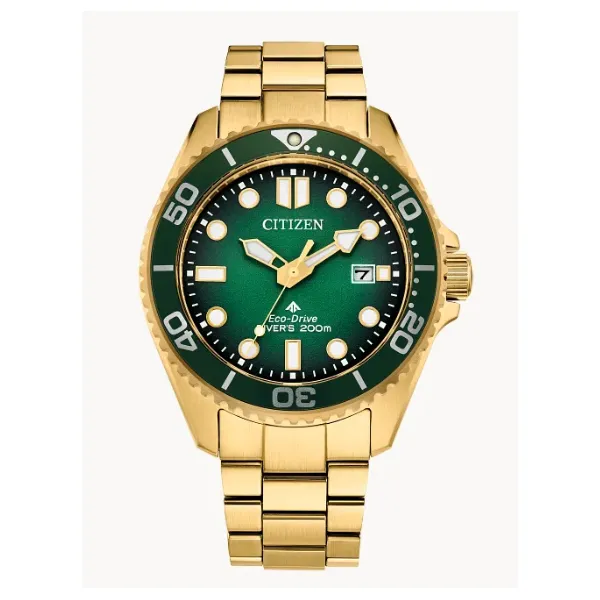 Citizen Promaster Dive Watch Classic Creations In Diamonds & Gold Venice, FL