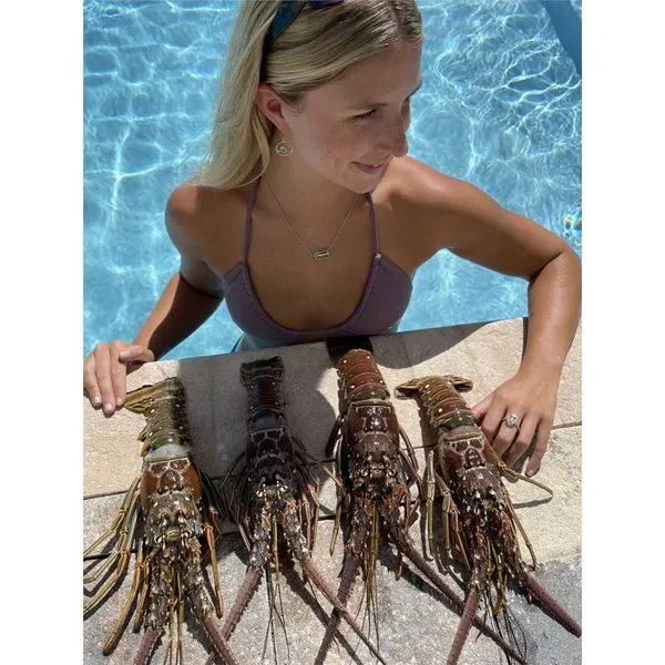 Nau-T-Girl Ladies Lobster Necklace Image 2 Classic Creations In Diamonds & Gold Venice, FL