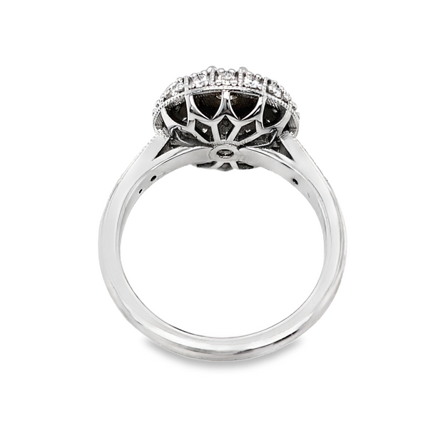 Dome of Dreams Image 4 CMS Fine Jewelers Wooster, OH