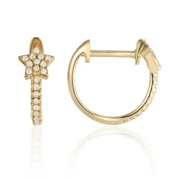 Diamond Earrings CMS Fine Jewelers Wooster, OH