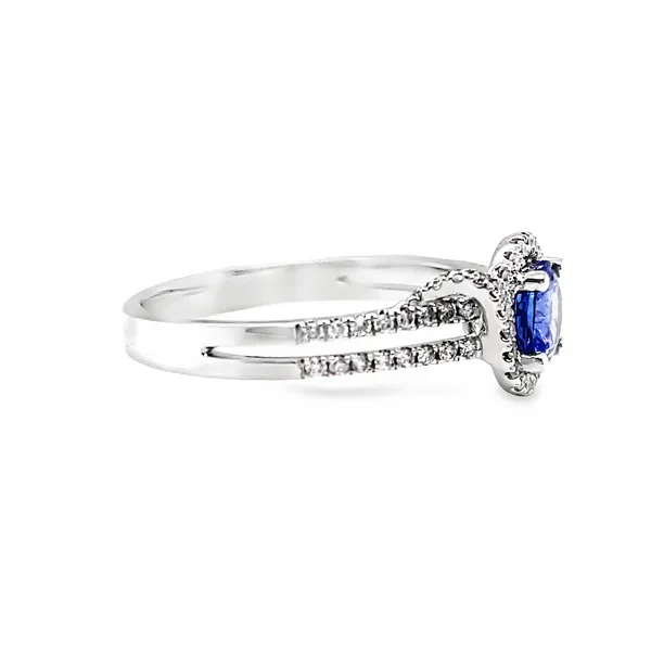 Dreamline Image 3 CMS Fine Jewelers Wooster, OH