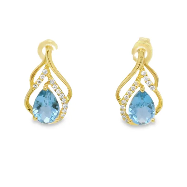 Earrings CMS Fine Jewelers Wooster, OH
