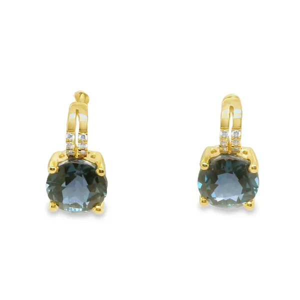 Earrings CMS Fine Jewelers Wooster, OH
