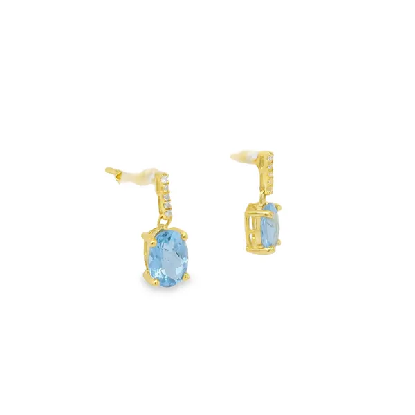 Earrings Image 2 CMS Fine Jewelers Wooster, OH