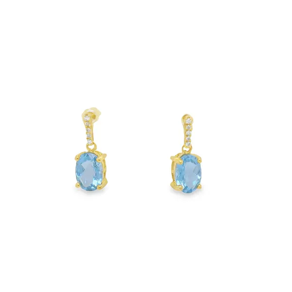 Earrings CMS Fine Jewelers Wooster, OH