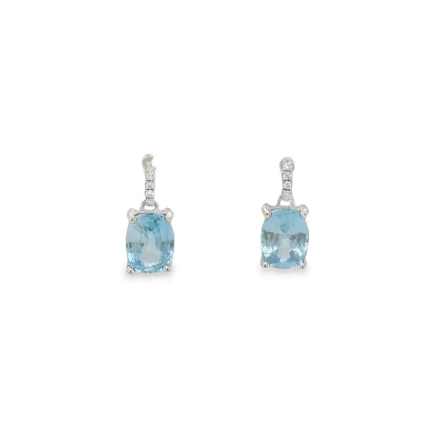 Earrings CMS Fine Jewelers Wooster, OH