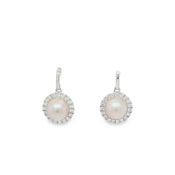 001-320-00001 CMS Fine Jewelers Wooster, OH