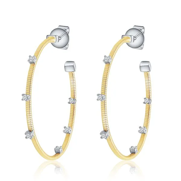 Earrings Image 2 CMS Fine Jewelers Wooster, OH
