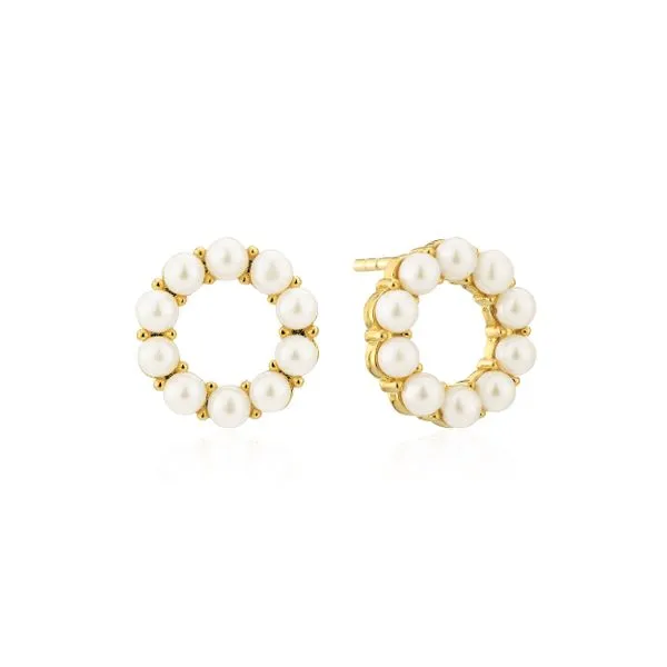 Earrings CMS Fine Jewelers Wooster, OH