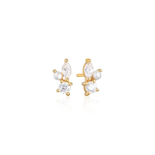 Earrings CMS Fine Jewelers Wooster, OH