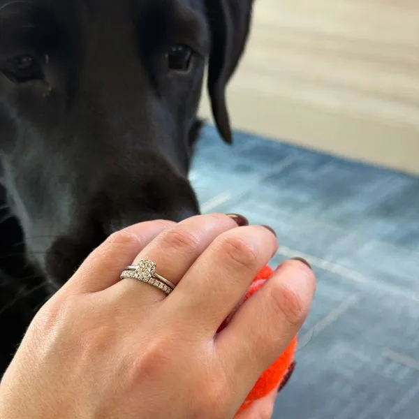 One Carat Diamond Solitaire Engagement Ring (including center) Image 3 Skaneateles Jewelry Skaneateles, NY