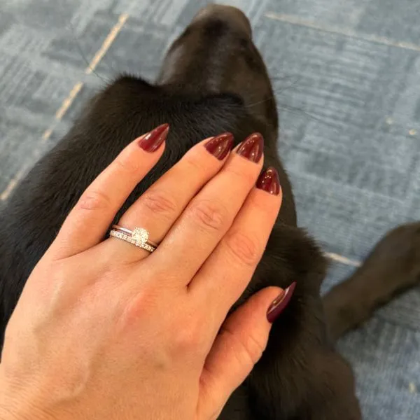 14K WG Our Signature Ladies 1/3ct TW Split Prong Diamond Wedding Ring Image 3 Skaneateles Jewelry Skaneateles, NY