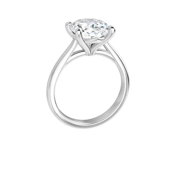 Diamond Engagement Ring Mounting (center not included) Skaneateles Jewelry Skaneateles, NY