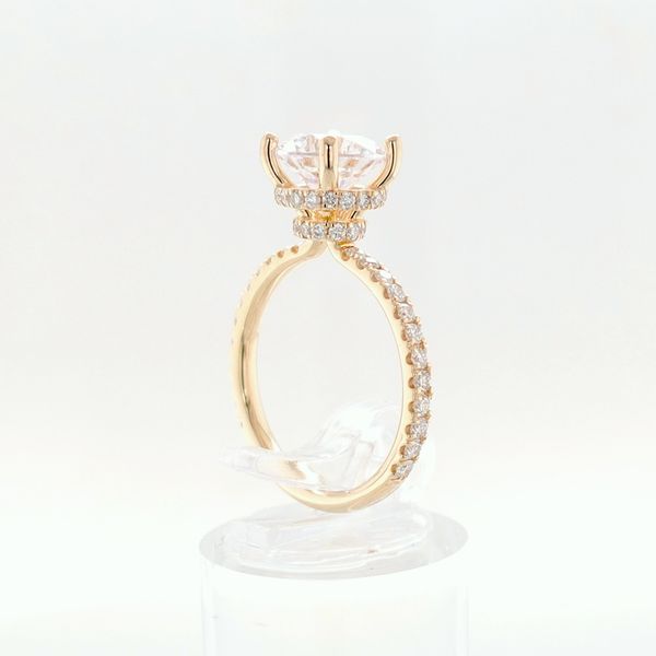 14K Yellow Gold Hidden Halo & Diamond Collar Engagement Ring Semi-Mounting Image 5 Skaneateles Jewelry Skaneateles, NY