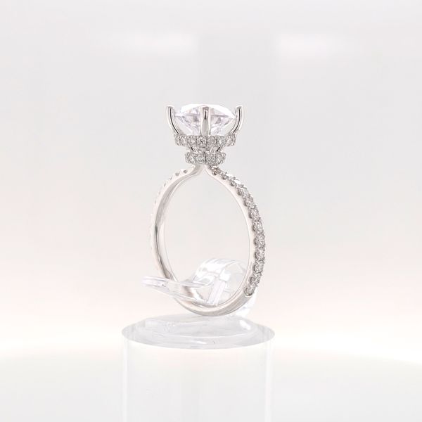 14K Wellow Gold Hidden Halo & Diamond Collar Engagement Ring Semi-Mounting Image 4 Skaneateles Jewelry Skaneateles, NY