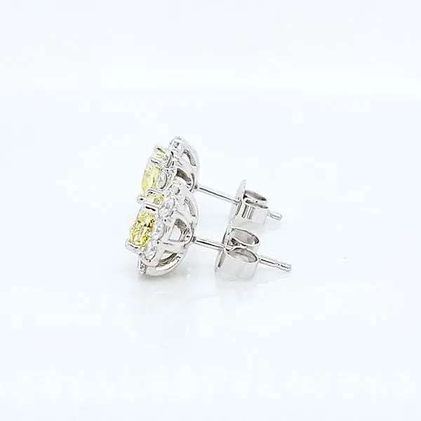 14K White Gold 2.17cttw Yellow Diamond Halo Earrings [GIA] Image 3 Skaneateles Jewelry Skaneateles, NY