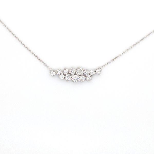 14K WG Diamonds of All Sizes equaling .70ct Cluster necklace w/ Adjustable Diamond Accented Chain Skaneateles Jewelry Skaneateles, NY