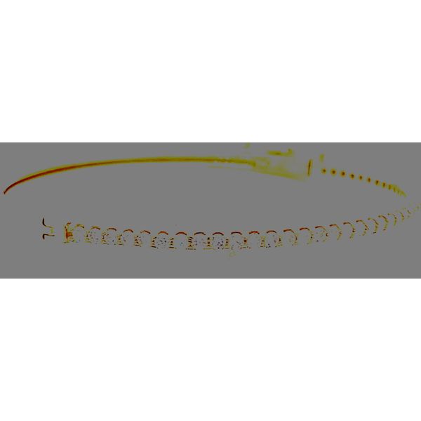 14K Yellow Gold 1.35ct TW Hinged Diamond Bangle Bracelet Image 3 Skaneateles Jewelry Skaneateles, NY