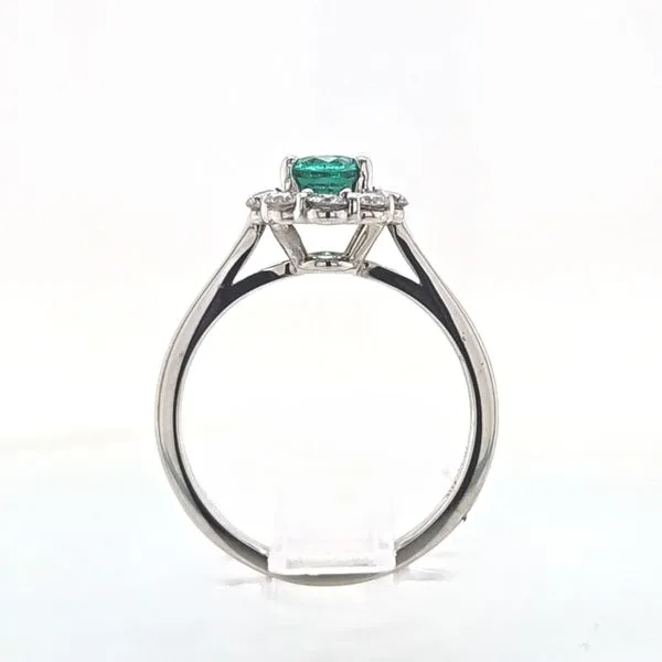 14k White Gold Emerald & Diamond Halo Ring Image 4 Skaneateles Jewelry Skaneateles, NY
