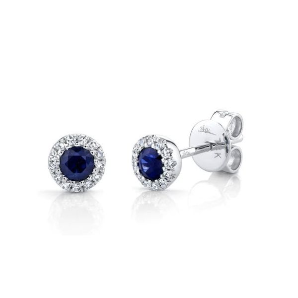 0.36ct TGW Diamond & Sapphire Earrings Skaneateles Jewelry Skaneateles, NY