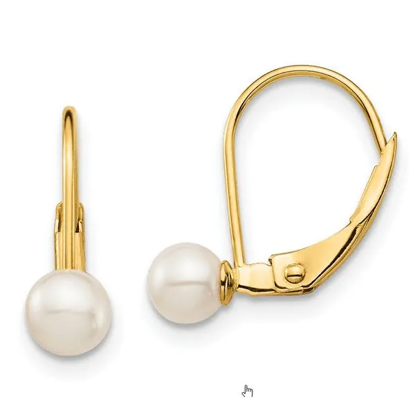 Earrings Skaneateles Jewelry Skaneateles, NY