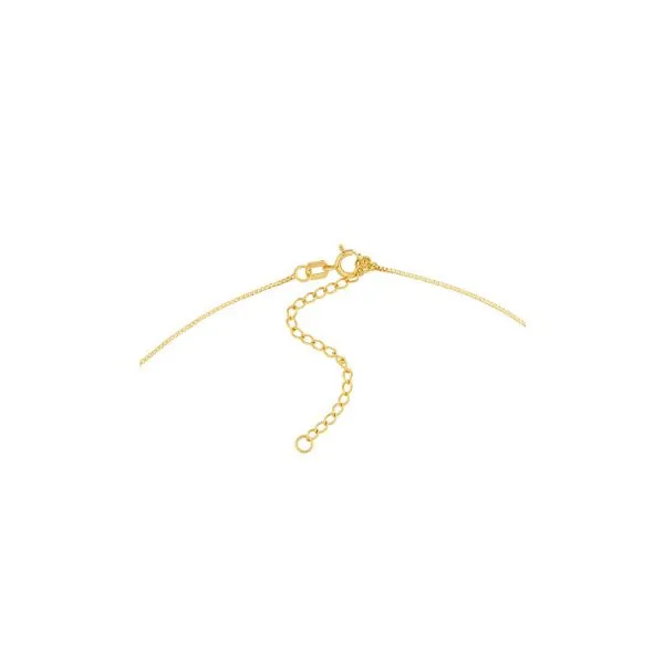 14K Yellow Gold 0.66 mm Solid Box Adjustable Chain Skaneateles Jewelry Skaneateles, NY