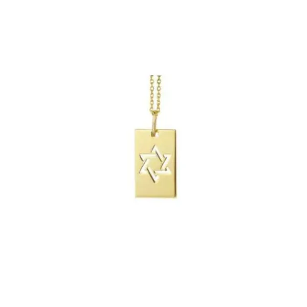 14K Yellow Gold 'Star of David' Tag Necklace Skaneateles Jewelry Skaneateles, NY