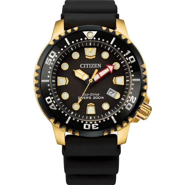 Gent's Citizen Eco-Drive 200M SSG Strap - Black Dial Skaneateles Jewelry Skaneateles, NY