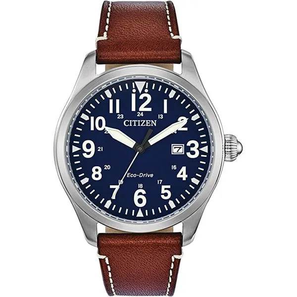 Gent's Citizen EcoDrive WR100 Brown Strap Watch Skaneateles Jewelry Skaneateles, NY