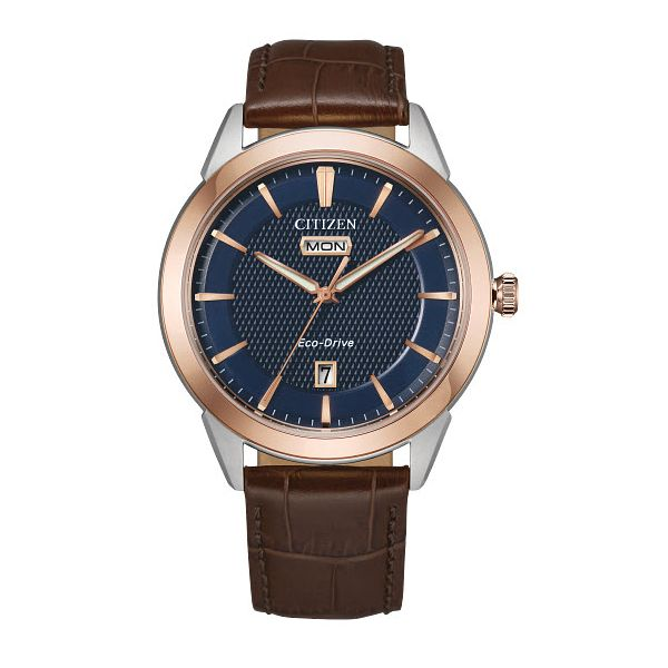 Gent's Citizen EcoDrive WR100 Navy Dial/Leather Strap Watch Skaneateles Jewelry Skaneateles, NY