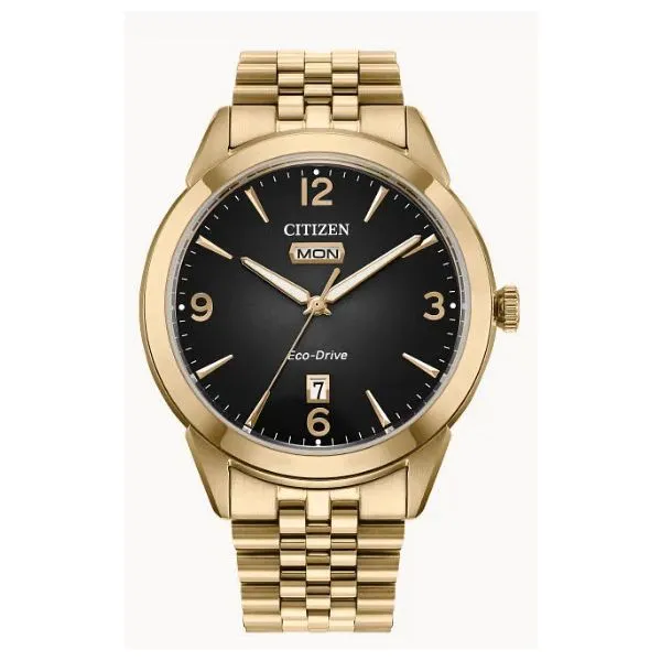 Gents Citizen Rolan - Eco Drive - WR100m Skaneateles Jewelry Skaneateles, NY